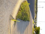 Site 6