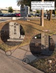 Composite---Site-1