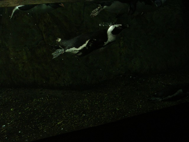 Tue 12 Apr 2005 02:33:14 PM CDT