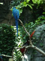 Highlight for Album: Audubon Aquarium of the Americas