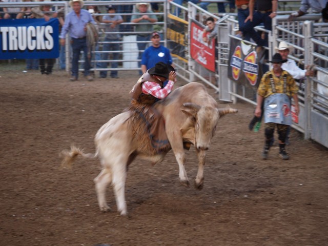 R4_P7030175.JPG